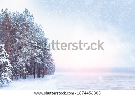 Frozen winter forest with snow covered trees. outdoor