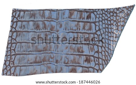 Luxury crocodile leather imitation on a white background