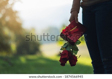 Closeup image of a woman holding red roses flower and a gift box in the park