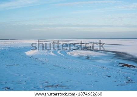 trees on the snowy and icy beach of Finnish gulf