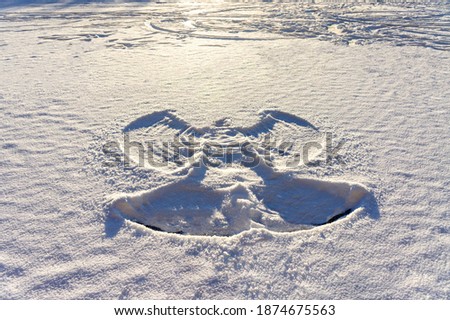 print of a snow angel on fresh white snow and frozen lake. Abstract, winter fun