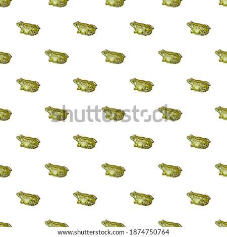 Seamless pattern with photo of green frog on a white background. Stock illustration.