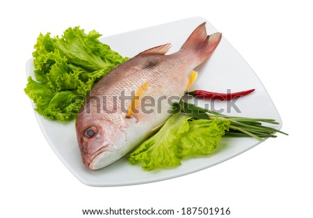 Raw red snapper with salad leaves