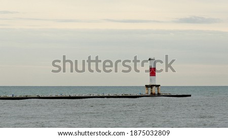 Lighthouse on a overcast day in Holland Michigan with seagulls sitting on the jetty