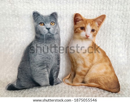 Adorable doll cats isolated on white background