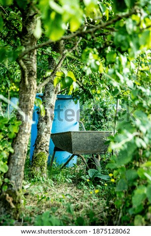 A Wheelbarrow underneath Fruit Trees