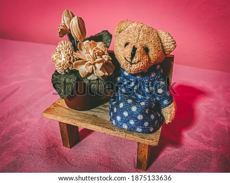 bear doll Teddy bear Waiting pink