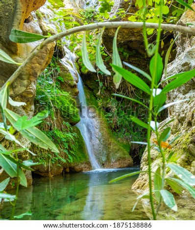 A small beautiful waterfall with green leaves.  