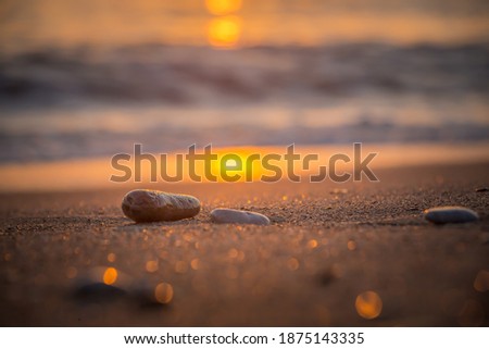 Two lonely stones are lying on the evening sandy beach. The sea is lapping in the distance. The sand glitters like gold at sunset. Abstraction for meditation, relaxation and tranquility.
