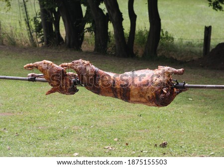 A roast lamb on a spit on the fire, picture in the garden