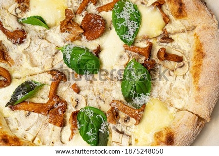 Mushroom pizza, mozzarella cheese and herbs close up.