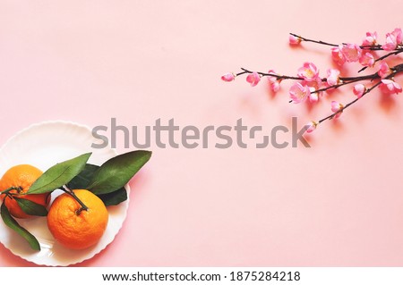 Flat lay two mandarin orange and sakura branch. Health and wealth symbol. Happy Chinese New Year 2021 background, mockup