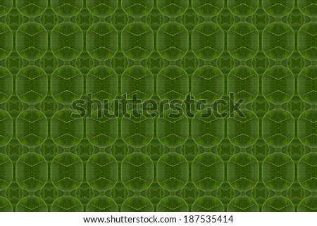 Pattern form leaf.Part 1