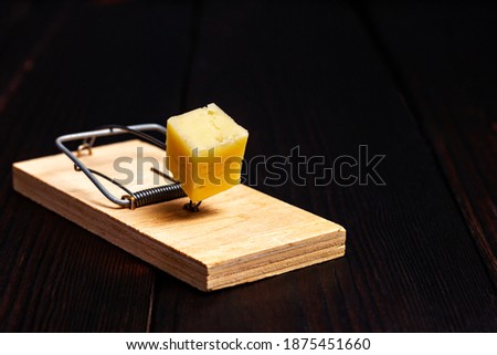 Wooden mousetrap with a piece of yellow cheese on a dark wooden background. Rodent trap. Catch the mouse. Rodent control. Sanitary service Royalty-Free Stock Photo #1875451660