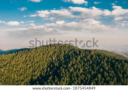 Panoramic aerial photography of a forest during a sunny day