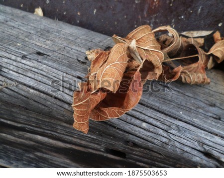 Dried leaves on weathered wood siding and windowsill