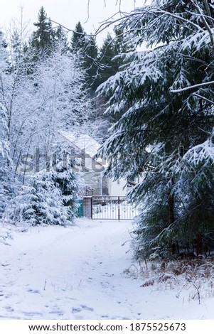 Winter landscape - wooden house in snowy forest. Vertical photo