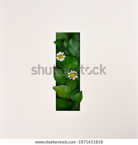 Font design, Abstract alphabet font with leaves and flower, realistic leaves typography - I
