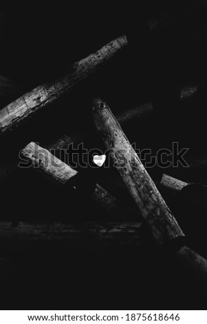 black and white photo of wood texture, felled trees, beams close-up