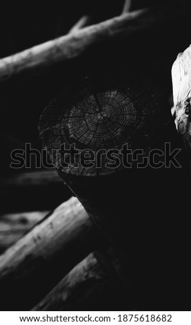 black and white photo of wood texture, felled trees, beams close-up
