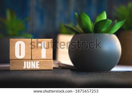 june 1st. Day 1 of month,  Cube calendar with date and pot with succulent placed on table at home Simple calendar. summer month, day of the year concept.