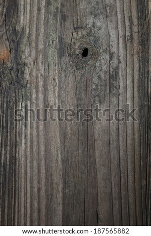 old wood texture 