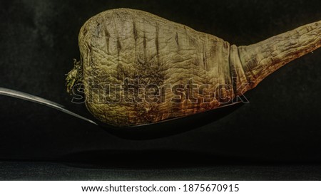 A single old rotting parsnip, on a black background. on a dark background. HDR image