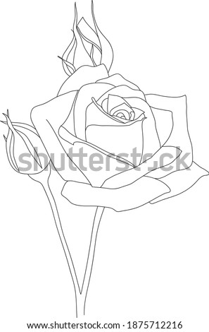Rose clip art, black and white rose flower clip art, hand drawn flower , easy rose sketch, beautiful rose clip art