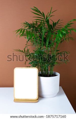 Wooden frame copyspace and green plant on white table with dark orange wall background