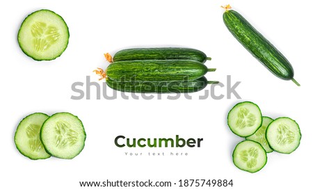 Fresh whole and sliced cucumber. Close up. Isolated on white background. High quality photo
