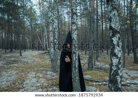 A witch in a black hood and with red fly agarics conjures in the forest. Selective focus. Blurred background.
