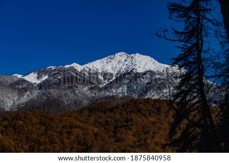 view of the autumn snow-capped mountain