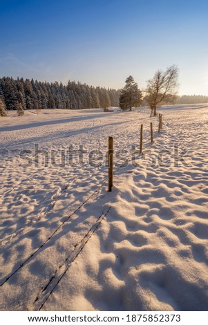 tranquil winter landscape at sunset with fresh powder snow in the Allgaeu alps, Bavaria, Germany