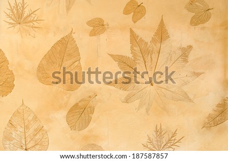 Leaves texture on concrete wall