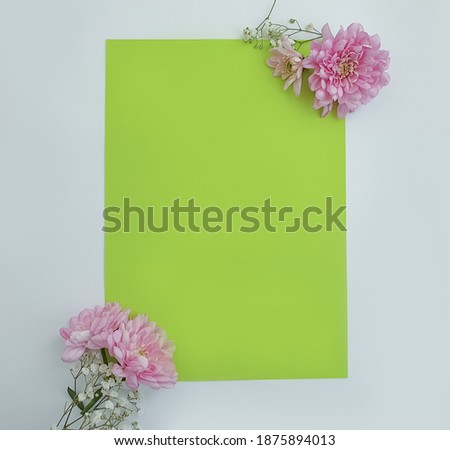 envelope, flower on a colored background