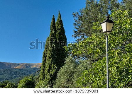 Landscape with close plan of a lamppost and a cypress and background the mountains with yellow flowers and the sky very blue. Natural light
