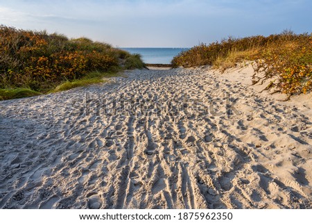 Footprints on a sandy beach. Photo from Lomma Beach, Scania county, Sweden