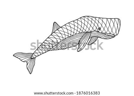Sea animal whale sperm whale. Coloring book. Hand drawing.