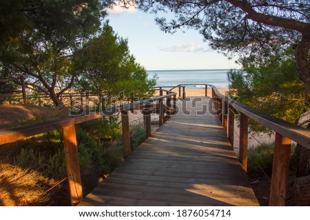 Wooden structure leading to the beach. Beautiful promenade near the shore.