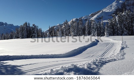 A perfect Cross country skiing slope located at the Plätzwiese at the end of the Pragser valley in South Tyrol-Italy. The picture was taken after the first snowfall on a wonderful winter day.
