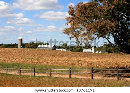 Farm in KY on a gorgeous October day with beautiful sky.