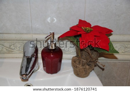 Decorating the bathroom with a red poinsettia flower