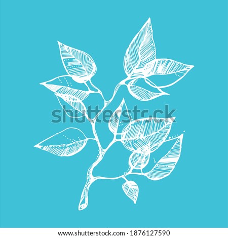 white leaves on a blue background