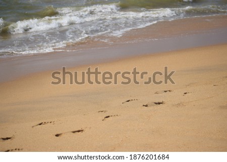 human footpath on the wet sandy beach, Human footprints leading away from the viewer into the sea, beach, wave and footprints at sunset time, Human footprints leading away from the viewer into the sea