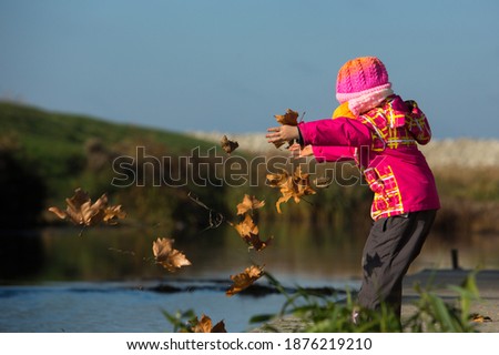 Young little girl gets acquainted with nature, throws autumn leaves into the water.