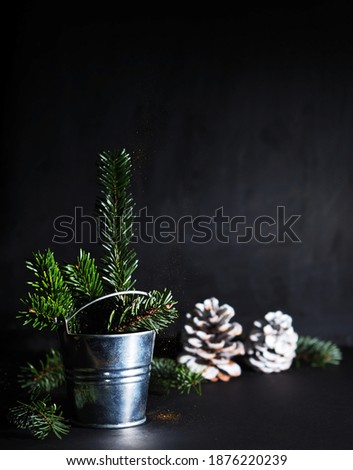 green thorny sprigs of needles with gold glitters stand in a shiny iron small bucket with snow-covered cones in the dark background. christmas and new year concept. vertical, soft focus, copy space