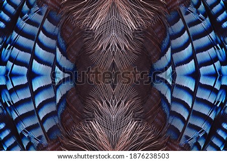 Abstract symmetric pattern of feathers of Eurasian jay with blue stripes close-up as background. Ornamental surreal tracery of bird feathers. The image with mirror effect.