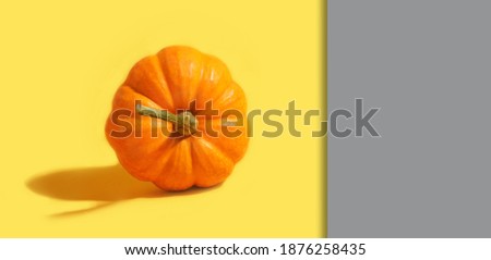 Pumpkin on yellow color and gray background. High quality photo                    