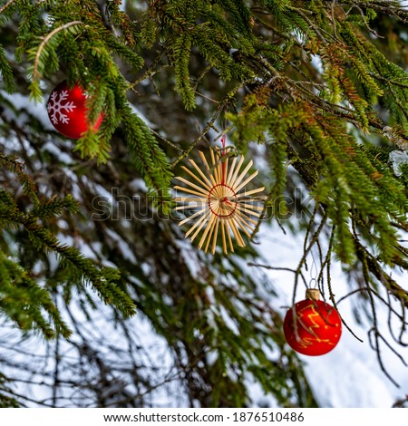 Straw star and other Christmas tree decorations on a Christmas tree in the freshly snow-covered forest. the red Christmas tree ball and the green fir branches add color to the picture.