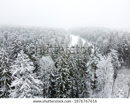 Winter forest with snowy trees, aerial view. Winter nature, aerial landscape, trees covered white snow